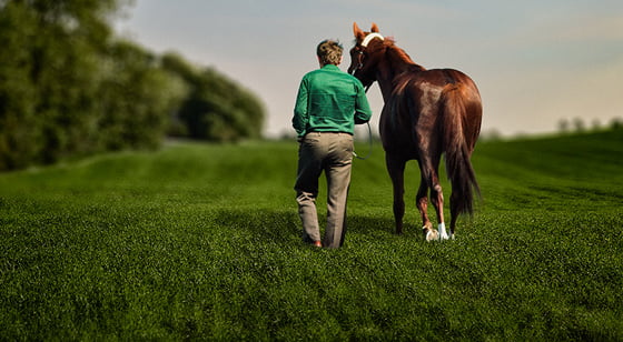 130531-FOM-1348-7-Tarok-foside-forslag-Bog